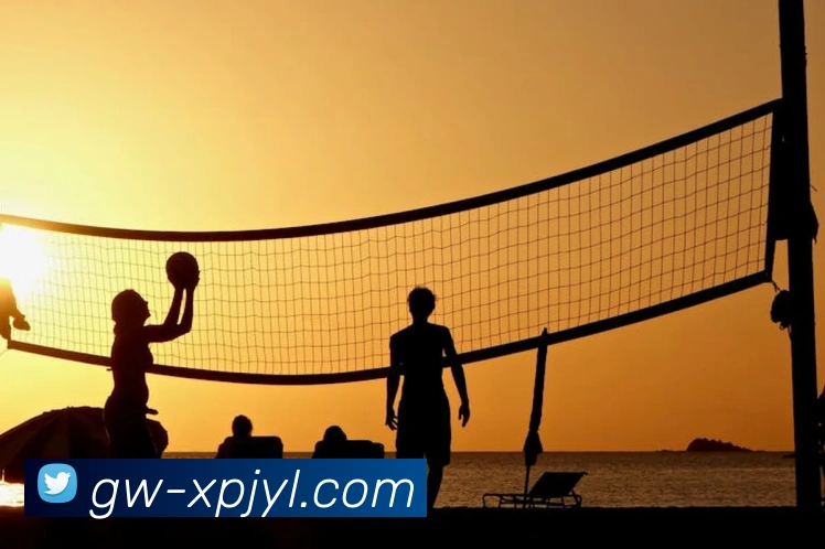 澳门新葡京娱乐平台生态图